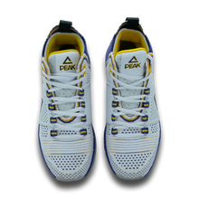 Load image into Gallery viewer, PEAK-TAICHI MEN&#39;S BASKETBALL SHOES